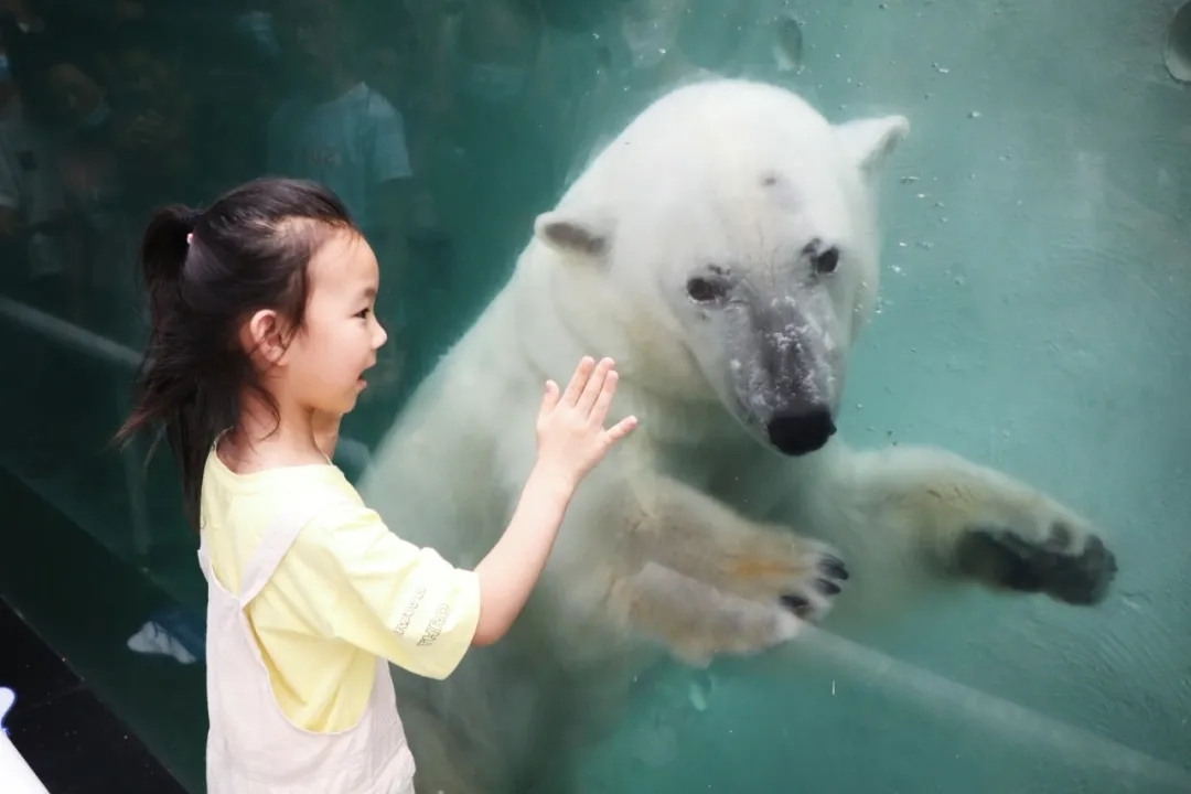 超值丨1大1小僅需258元，還送秦嶺野生動物園親子票